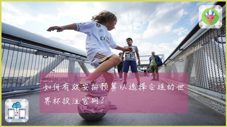 如何有效安排预算以选择合适的世界杯投注官网？