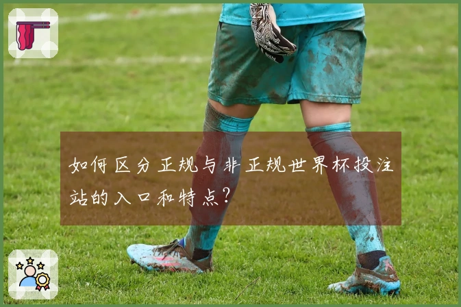 如何区分正规与非正规世界杯投注站的入口和特点？
