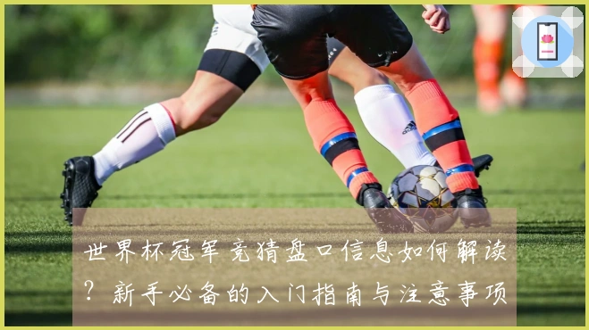 世界杯冠军竞猜盘口信息如何解读？新手必备的入门指南与注意事项
