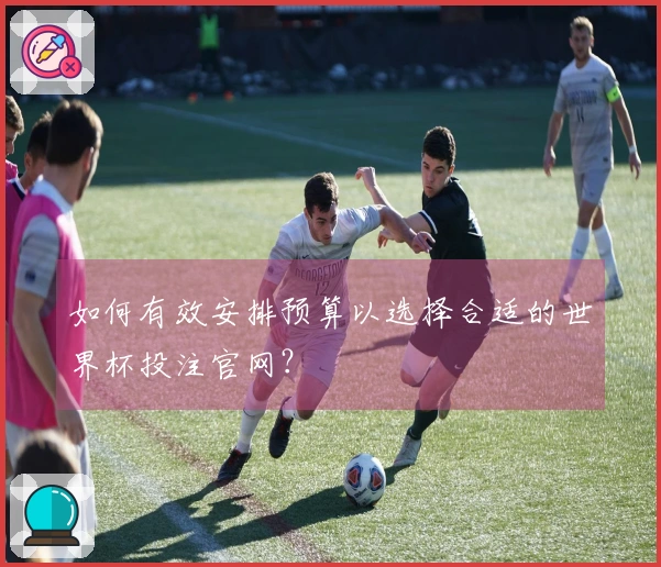 如何有效安排预算以选择合适的世界杯投注官网？