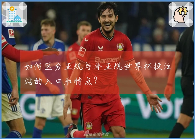 如何区分正规与非正规世界杯投注站的入口和特点？